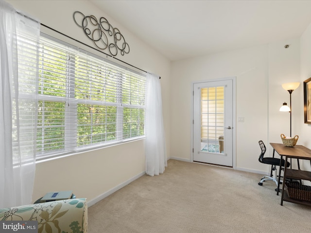 30413 Cedar Neck Rd Unit 304, Ocean View, DE 19970 - office with light carpet and baseboards