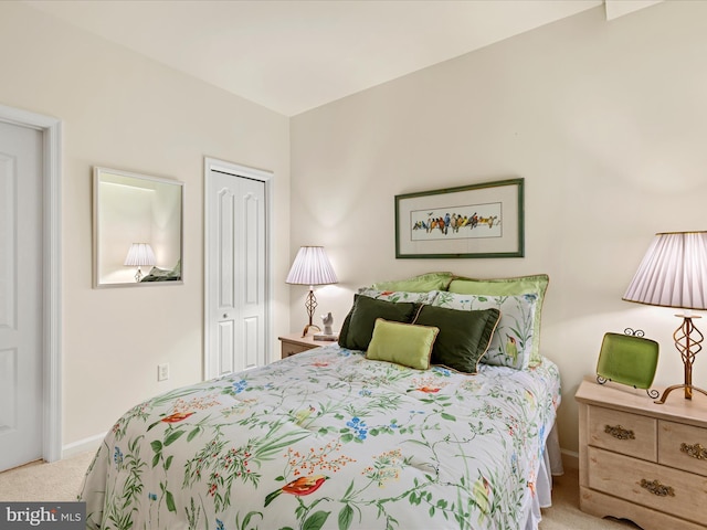 30413 Cedar Neck Rd Unit 304, Ocean View, DE 19970 - bedroom featuring carpet floors, baseboards, and a closet