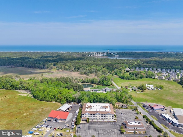 30413 Cedar Neck Rd Unit 304, Ocean View, DE 19970 - view of property location featuring a nearby body of water and a forest