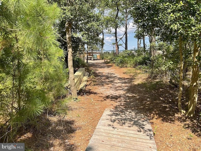 30413 Cedar Neck Rd Unit 304, Ocean View, DE 19970 - view of street