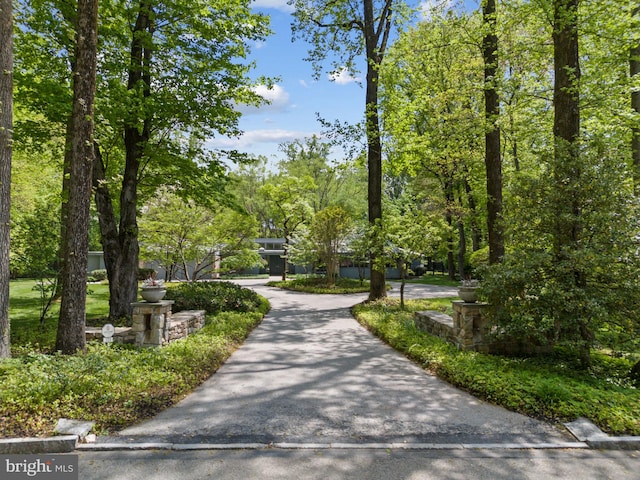 view of community
