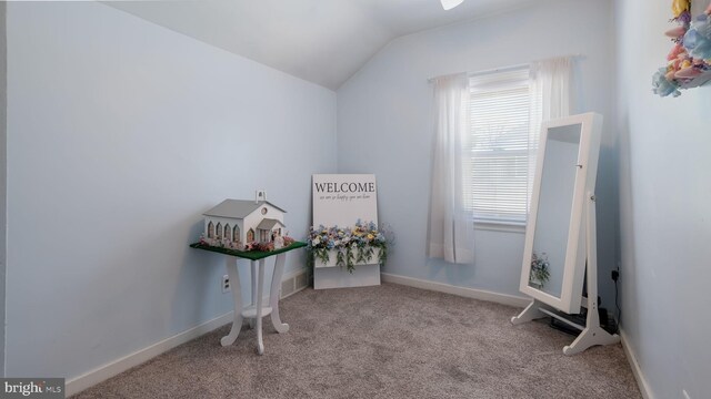misc room with lofted ceiling and carpet flooring