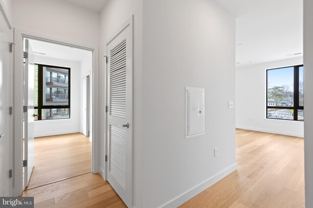 7175 12th St NW Unit 506, Washington, DC 20011 - hallway with baseboards, light wood finished floors, and electric panel