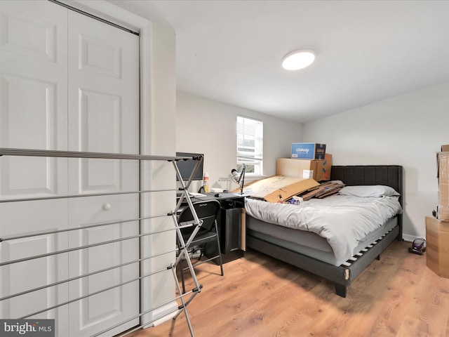 24 W Garibaldi Ave, Nesquehoning, PA 18240 - bedroom with light wood-style flooring