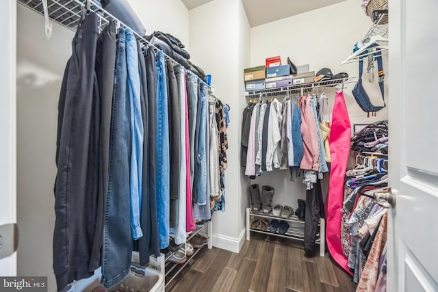 walk in closet featuring wood finished floors
