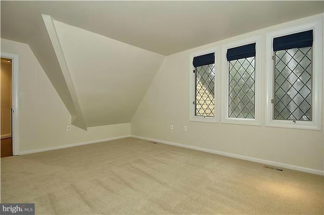 additional living space featuring carpet floors, baseboards, and vaulted ceiling