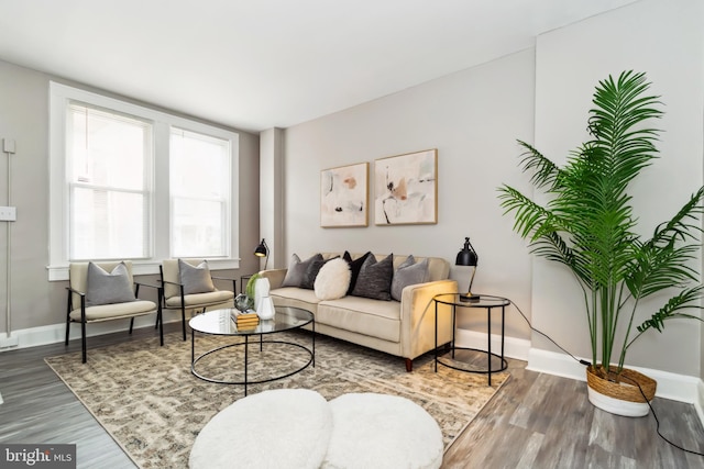 living room with baseboards and wood finished floors