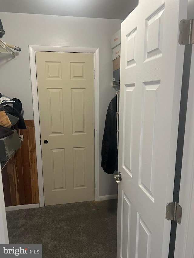 laundry room with carpet flooring