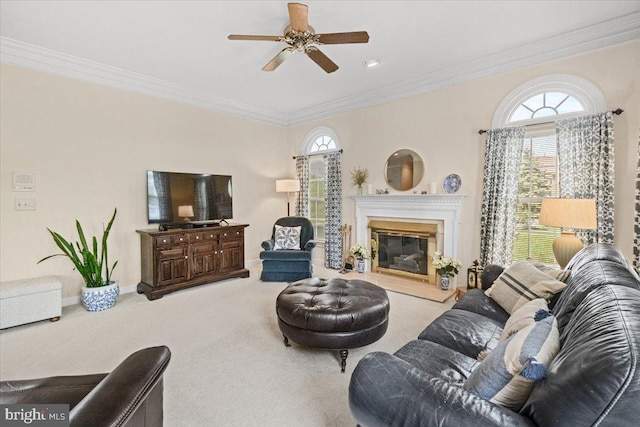 6341 Knollwood Dr, Frederick, MD 21701 - living room with a ceiling fan, carpet floors, ornamental molding, plenty of natural light, and a glass covered fireplace