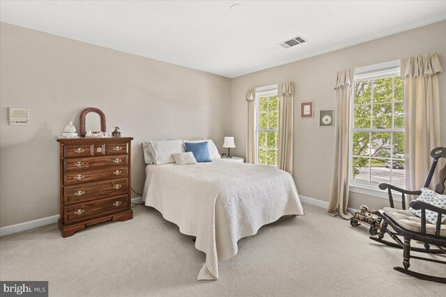 6341 Knollwood Dr, Frederick, MD 21701 - bedroom with light carpet, baseboards, and multiple windows