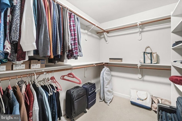 6341 Knollwood Dr, Frederick, MD 21701 - spacious closet with carpet floors