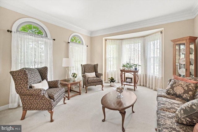 6341 Knollwood Dr, Frederick, MD 21701 - living room featuring carpet flooring, ornamental molding, plenty of natural light, and baseboards