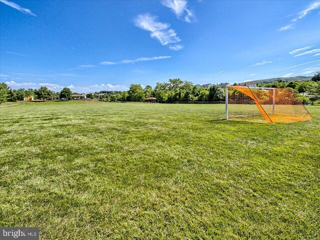 6341 Knollwood Dr, Frederick, MD 21701 - view of yard with a sport area