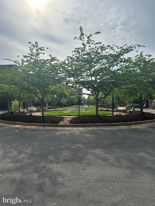 4906 Donovan Dr, Alexandria, VA 22304 - view of community