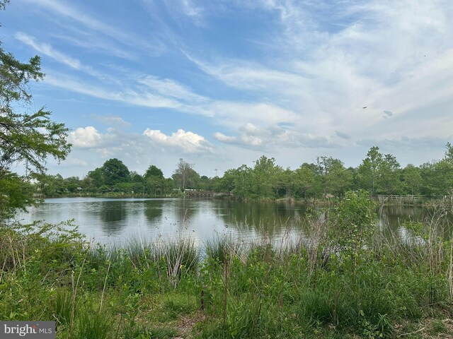 4906 Donovan Dr, Alexandria, VA 22304 - water view featuring a forest