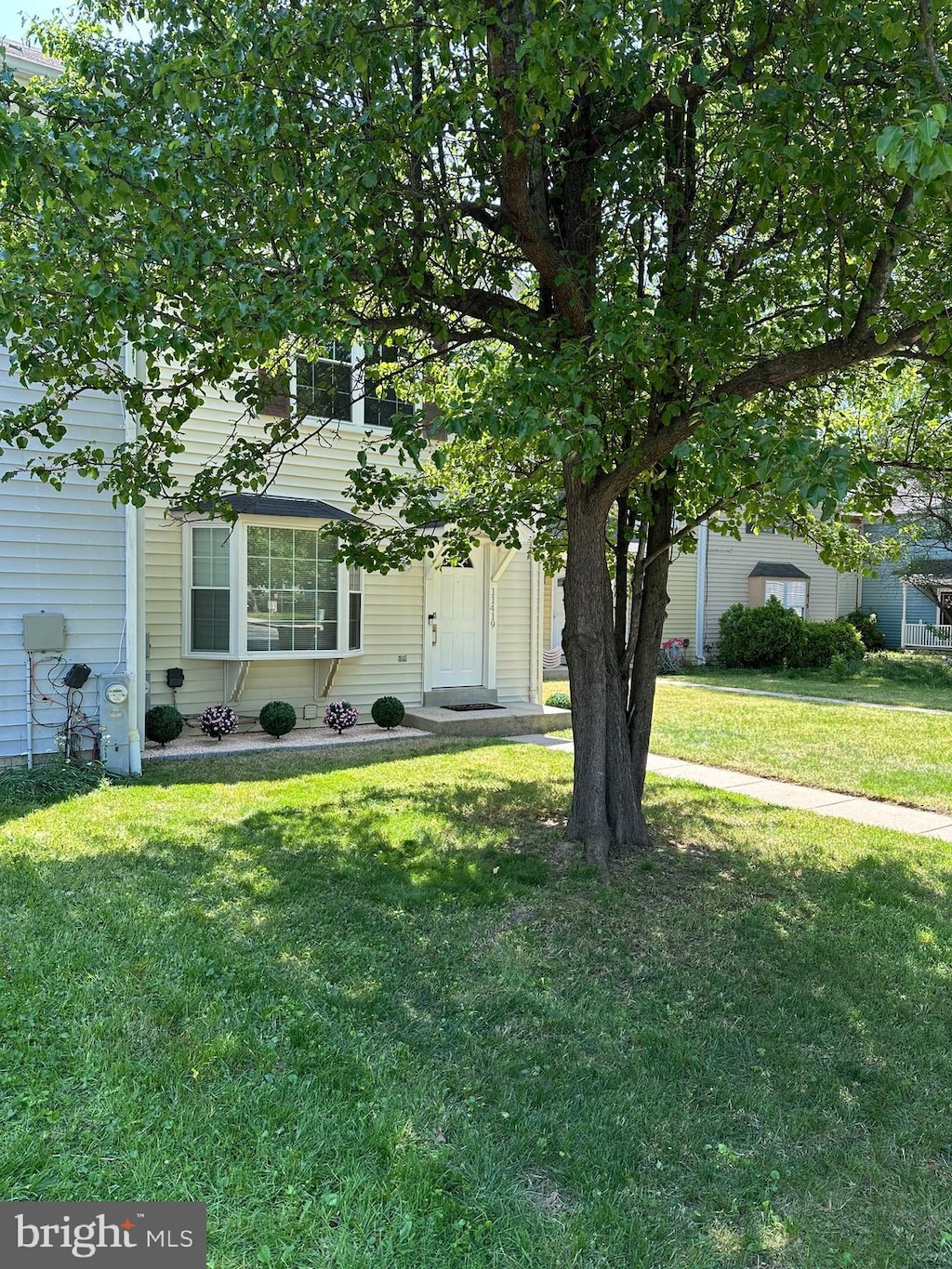 obstructed view of property with a front lawn