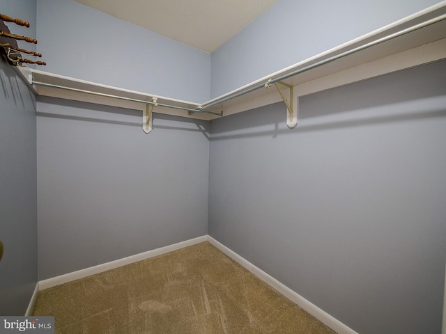 spacious closet with carpet flooring