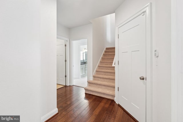 staircase with baseboards and wood finished floors