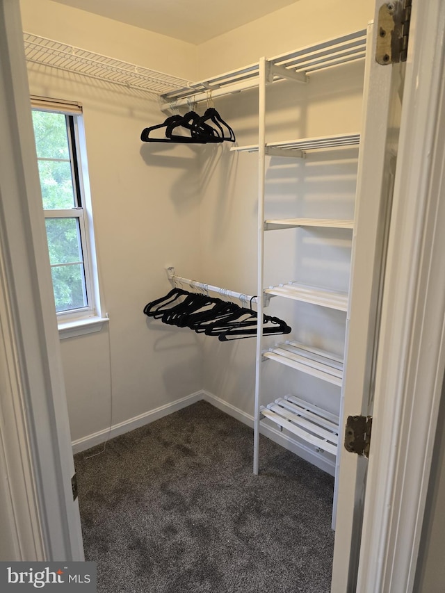 walk in closet with dark carpet