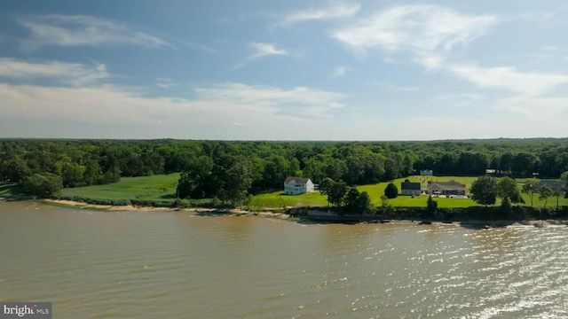 9129 Pebble Beach Ln, King George, VA 22485 - water view featuring a forest