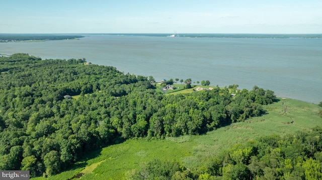 9129 Pebble Beach Ln, King George, VA 22485 - drone / aerial view of a nearby body of water and a forest