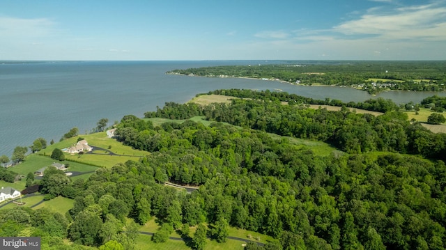 9129 Pebble Beach Ln, King George, VA 22485 - aerial overview of property's location featuring a nearby body of water and a forest