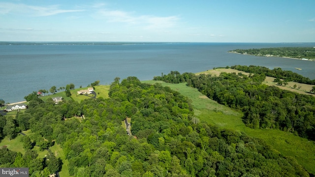 9129 Pebble Beach Ln, King George, VA 22485 - bird's eye view of a nearby body of water and a forest