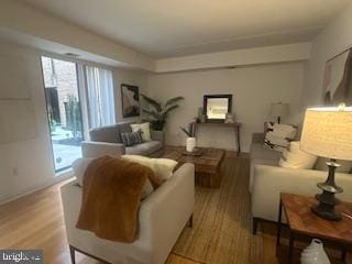 living area featuring wood finished floors