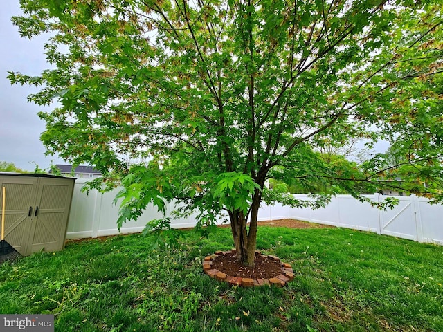 view of yard featuring a storage shed, an outdoor structure, and a fenced backyard