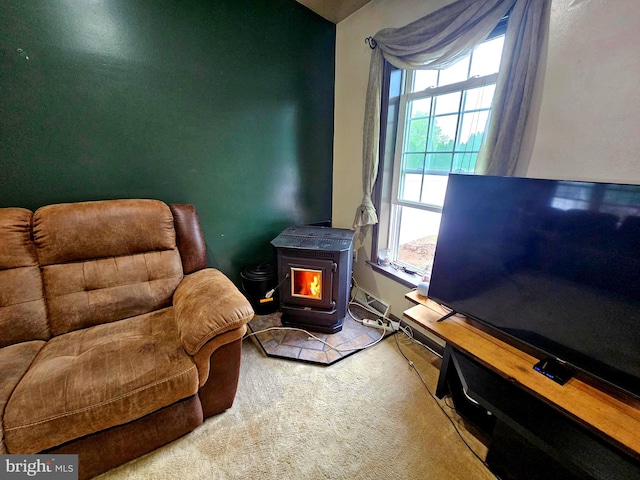 living area featuring a wood stove, carpet, baseboards, and plenty of natural light