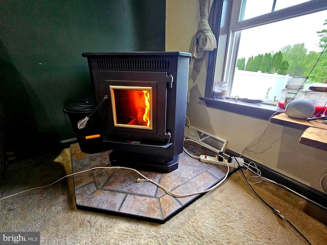 interior details with carpet flooring, baseboards, and visible vents