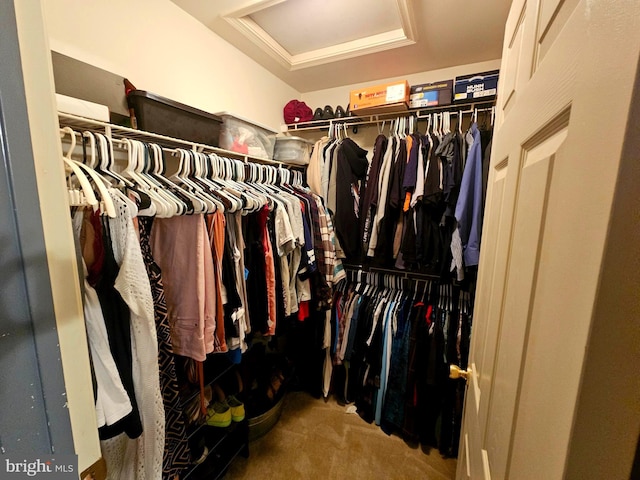 spacious closet with a tray ceiling, attic access, and carpet