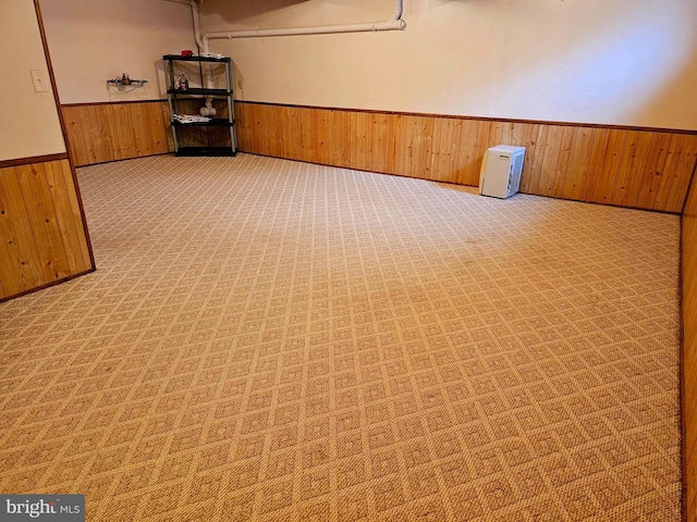 below grade area featuring wooden walls and wainscoting