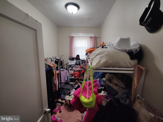 laundry area featuring carpet