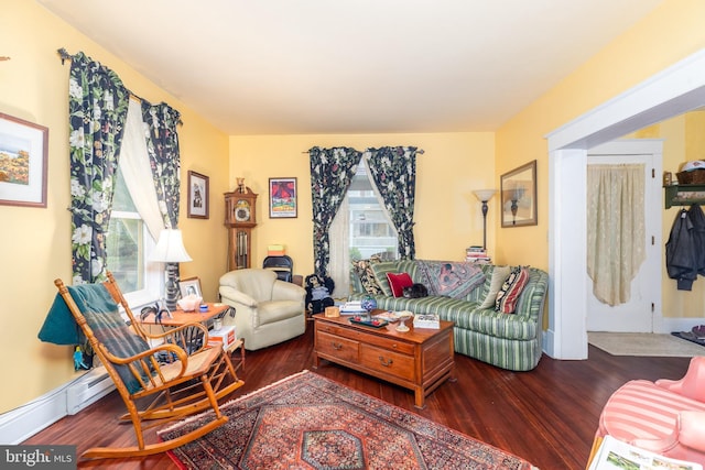 living area featuring wood finished floors