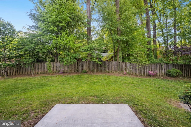 view of yard featuring a patio area