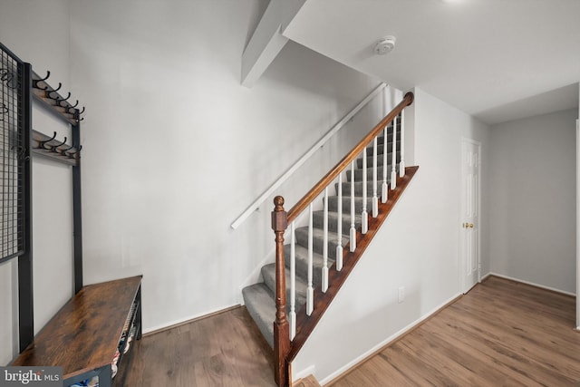 staircase featuring wood finished floors