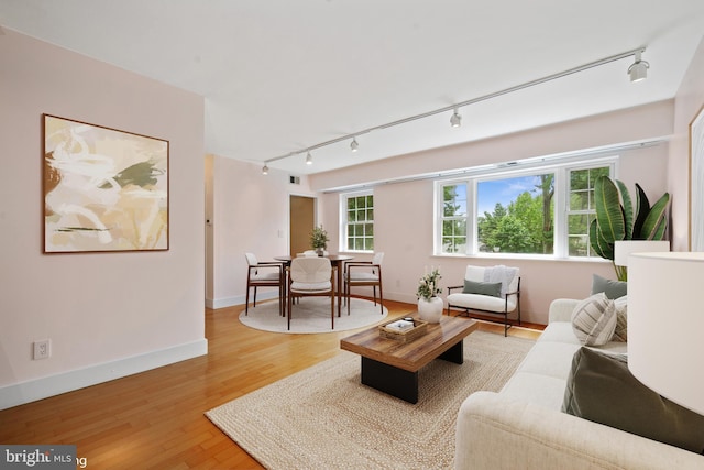 1301 N Ode St Unit 135, Arlington, VA 22209 - living room with rail lighting, light wood-style floors, and baseboards