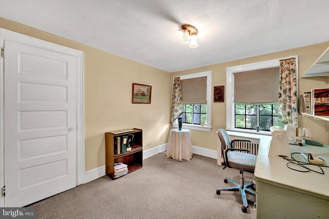 218 Parkside Ave, Trenton, NJ 08618 - office featuring carpet floors and baseboards