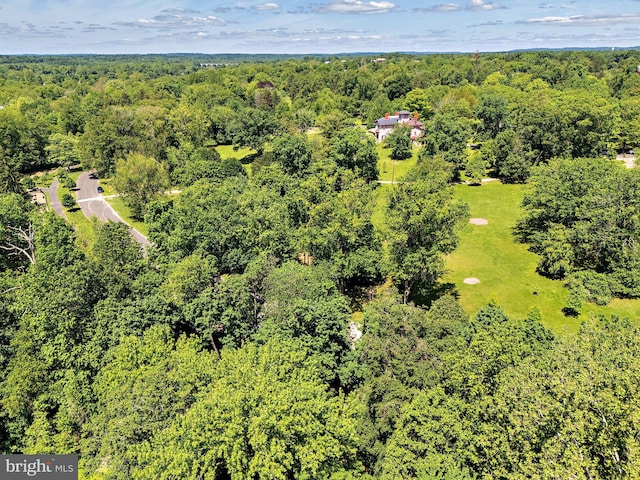 218 Parkside Ave, Trenton, NJ 08618 - drone / aerial view of a forest
