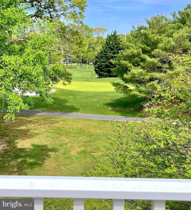 view of property's community with a yard