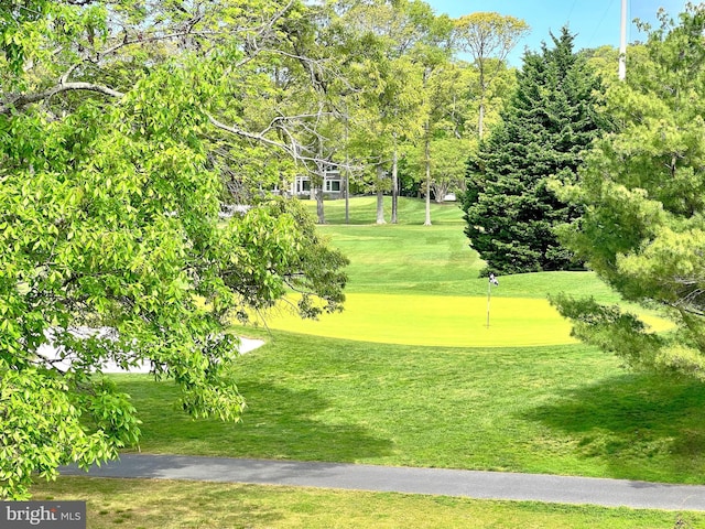 view of community featuring a putting area, a lawn, and view of golf course