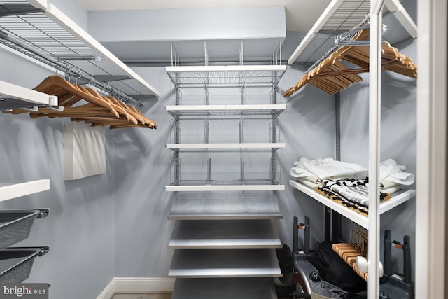 view of walk in closet