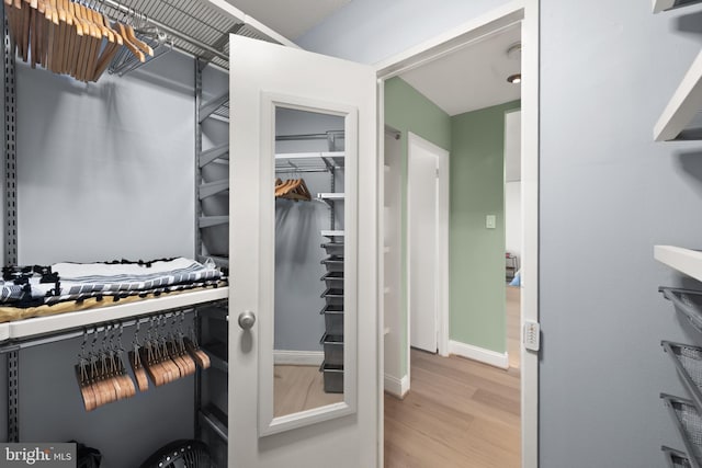 walk in closet featuring light wood-style floors