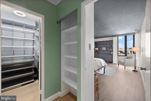walk in closet featuring wood finished floors