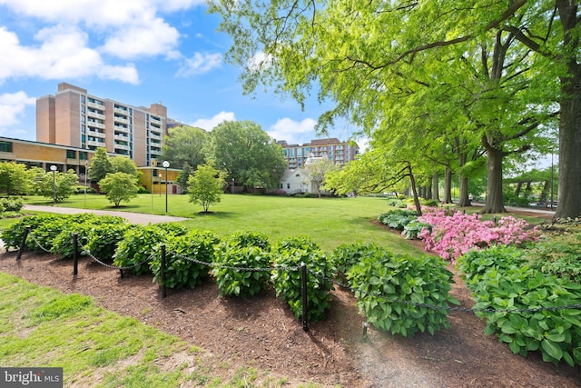 surrounding community with a yard