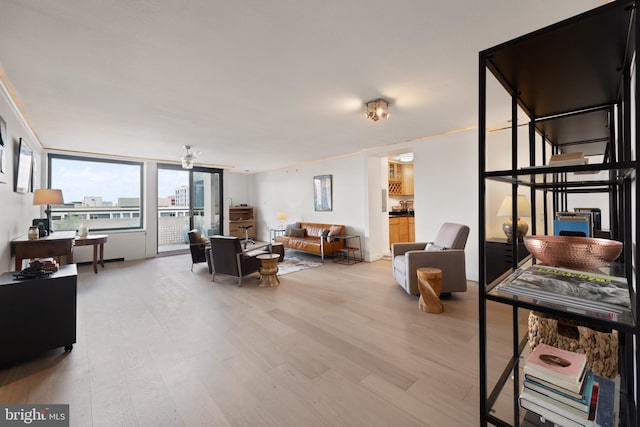 living room featuring wood finished floors