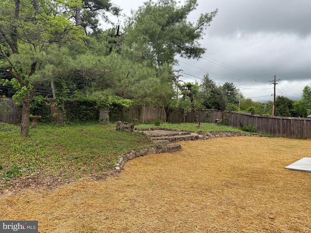view of yard with a fenced backyard