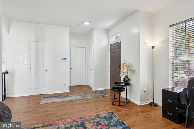 entryway with baseboards and wood finished floors