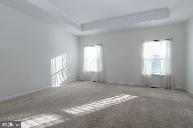 unfurnished room with ornamental molding, a tray ceiling, plenty of natural light, and carpet